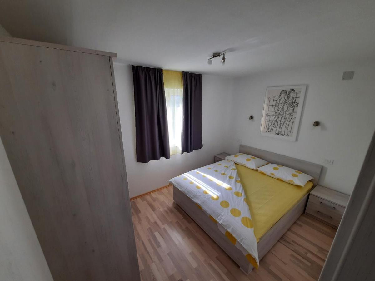 Apartmani Scripea Škrip 外观 照片