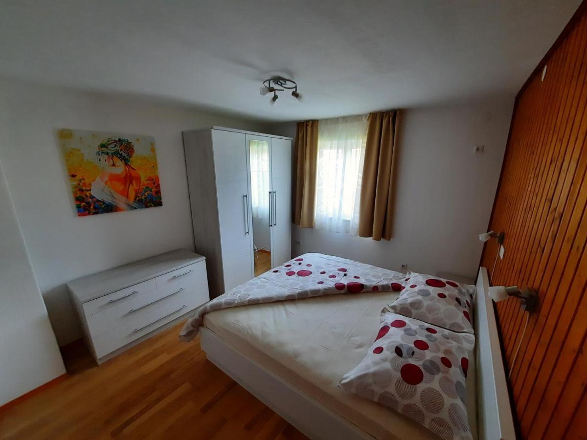 Apartmani Scripea Škrip 外观 照片