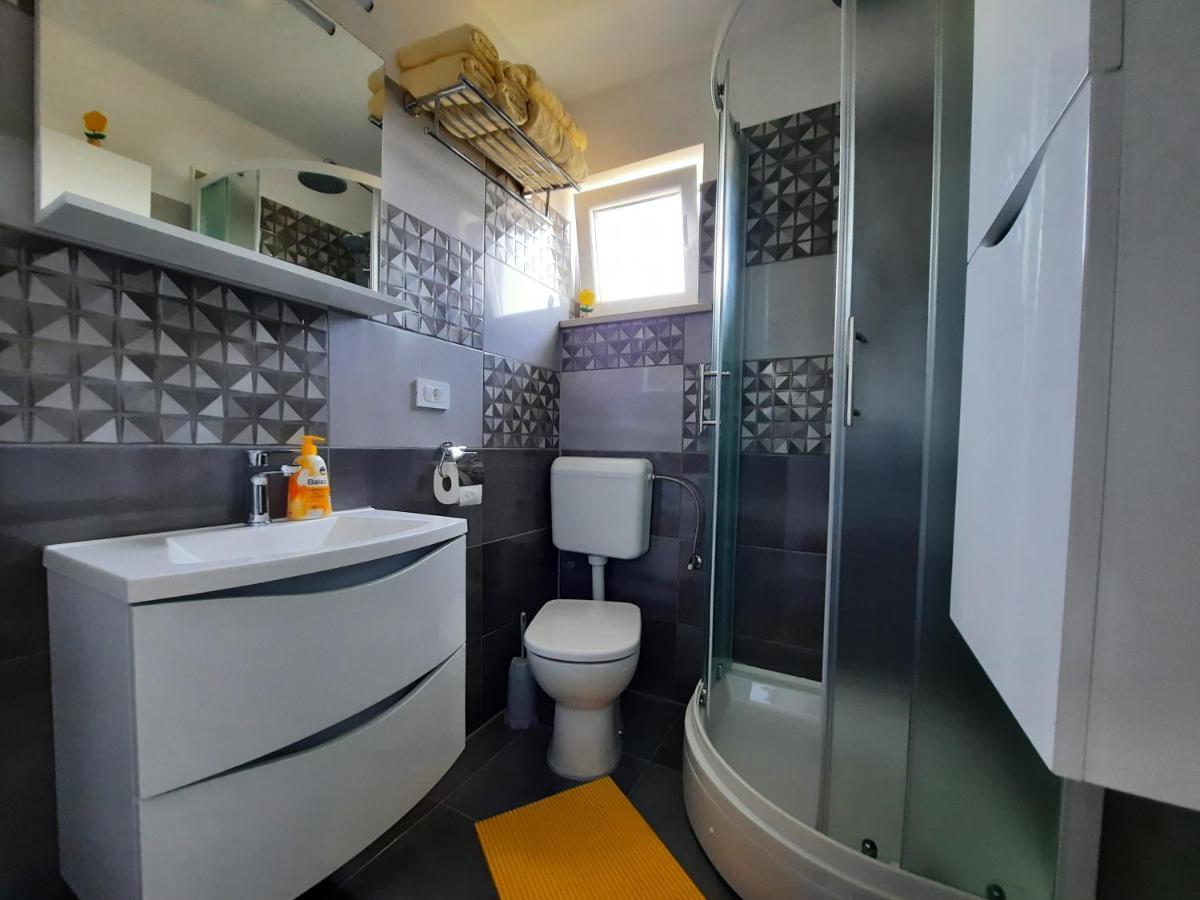 Apartmani Scripea Škrip 外观 照片