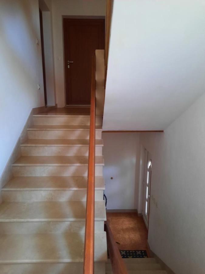 Apartmani Scripea Škrip 外观 照片
